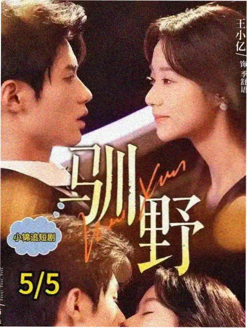 边境线之外 美剧在线看